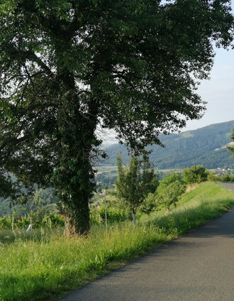 Greisdorf | Schilcherland Steiermark | © Schilcherland Steiermark