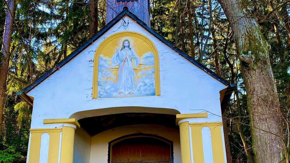 Trail Running Root Hopper Run - Touren-Impression #2.2 | © Südsteiermark