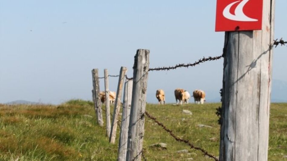 Wanderung "alpannonia" - Zubringer: Waldbach - Hochwechsel, Waldbach - Touren-Impression #2.2 | © Oststeiermark Tourismus