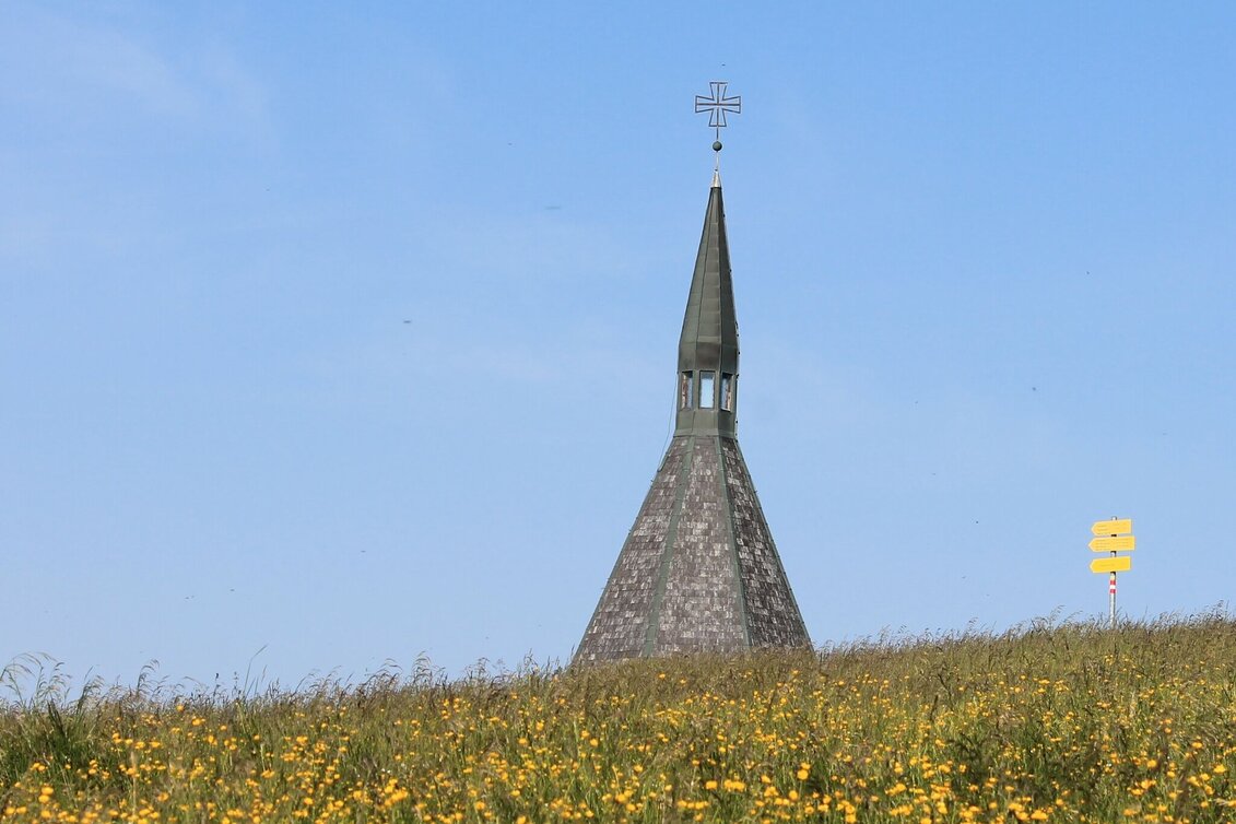 Wanderung "alpannonia" - Zubringer: Waldbach - Hochwechsel, Waldbach - Touren-Impression #1 | © Oststeiermark Tourismus