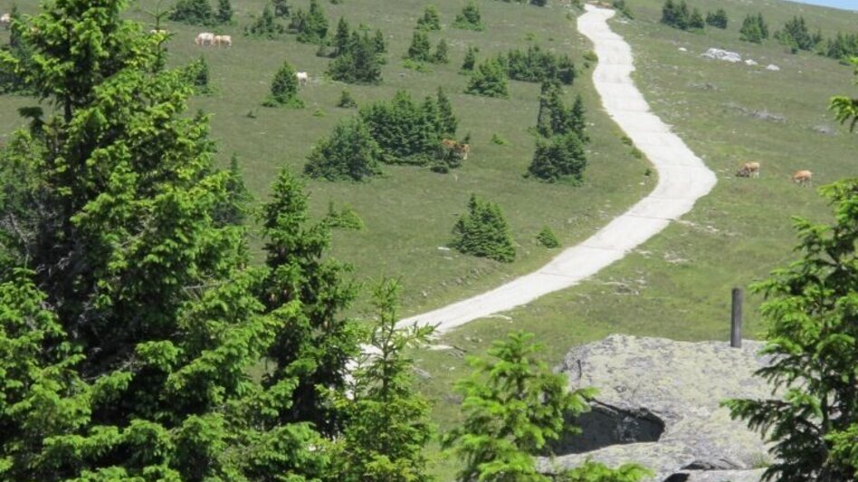 Hiking route "alpannonia" - feeder: Wenigzell - St. Jakob im Walde - Hochwechsel, Wenigzell - Touren-Impression #2.1 | © Oststeiermark Tourismus