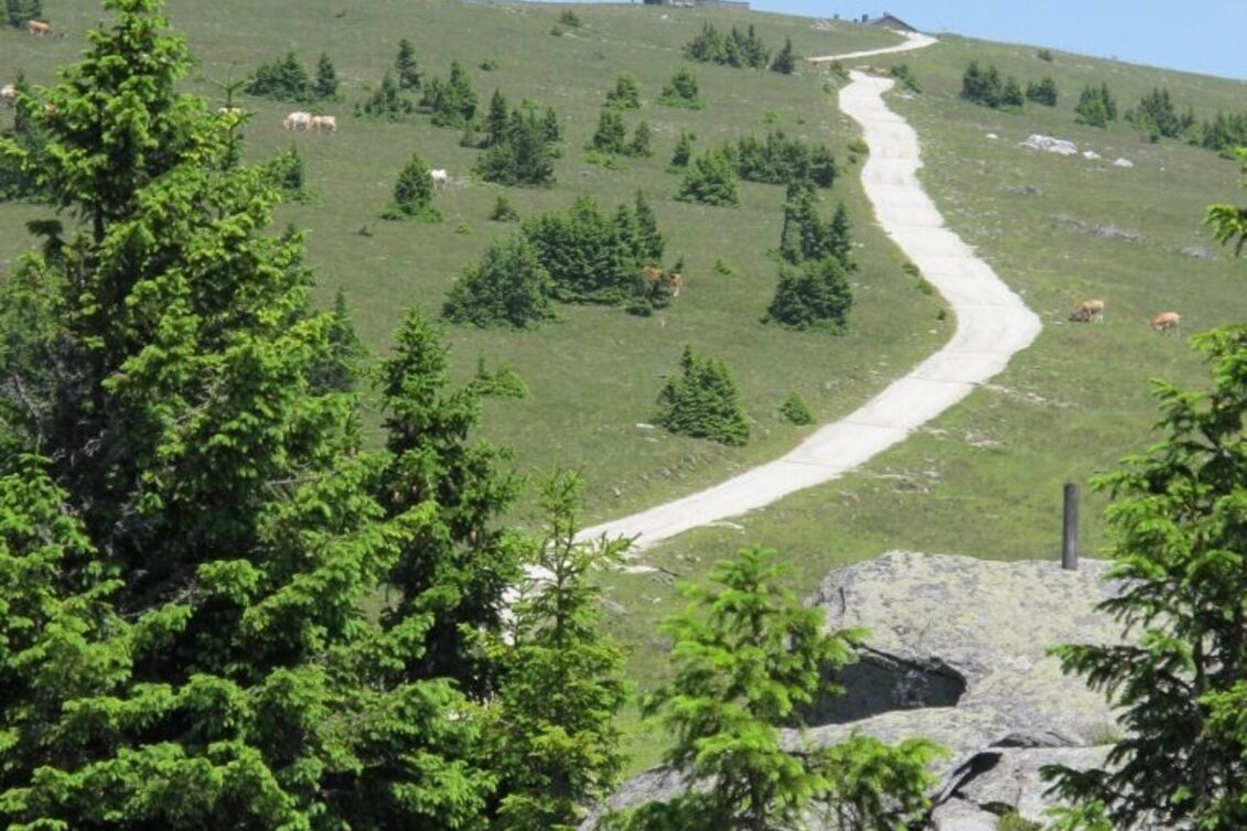 Hiking route "alpannonia" - feeder: Wenigzell - St. Jakob im Walde - Hochwechsel, Wenigzell - Touren-Impression #1 | © Oststeiermark Tourismus