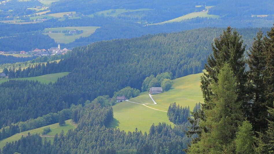Hiking route "alpannonia" - feeder: Wenigzell - St. Jakob im Walde - Hochwechsel, Wenigzell - Touren-Impression #2.3 | © Oststeiermark Tourismus