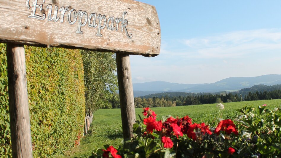 Hiking route "alpannonia" - feeder: Wenigzell - St. Jakob im Walde - Hochwechsel, Wenigzell - Touren-Impression #2.4 | © Oststeiermark Tourismus