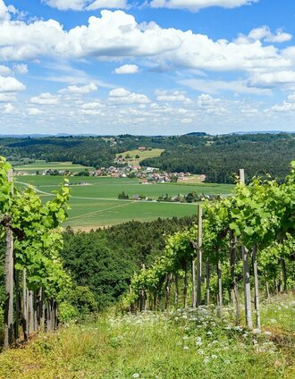 Weingärten und Blick nach Heimschuh | Peter Schimpel | © Südsteiermark