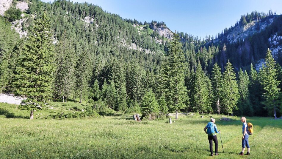 Hiking route Round hike from Tragöß to the Sonnschienalm - Touren-Impression #2.4 | © Weges OG