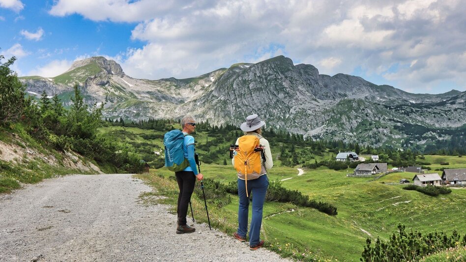 Hiking route Round hike from Tragöß to the Sonnschienalm - Touren-Impression #2.8 | © Weges OG