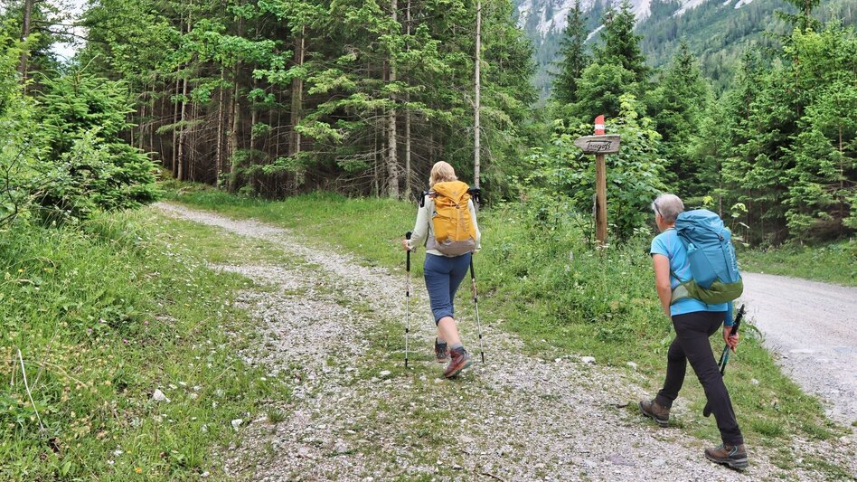 Hiking route Round hike from Tragöß to the Sonnschienalm - Touren-Impression #2.12 | © Weges OG