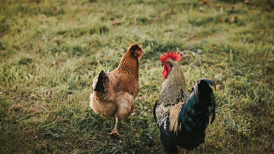 Jogging Bridges Run - Touren-Impression #2.1 | © Südsteiermark