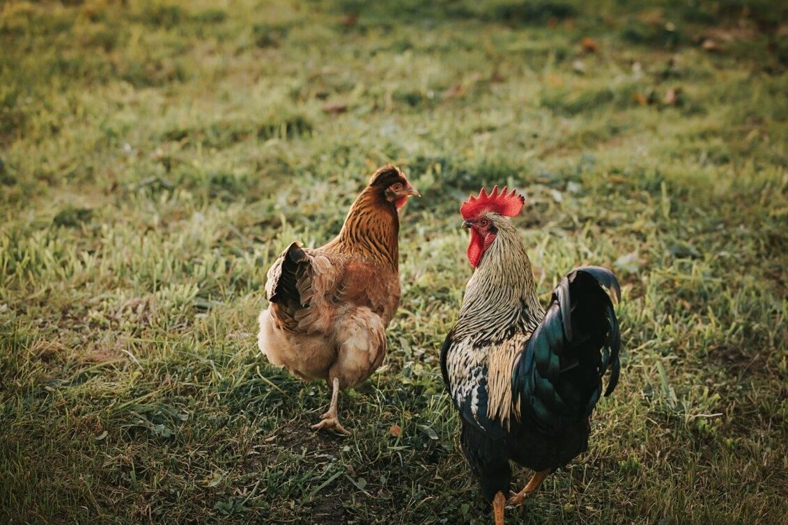 Jogging Bridges Run - Touren-Impression #1 | © Südsteiermark