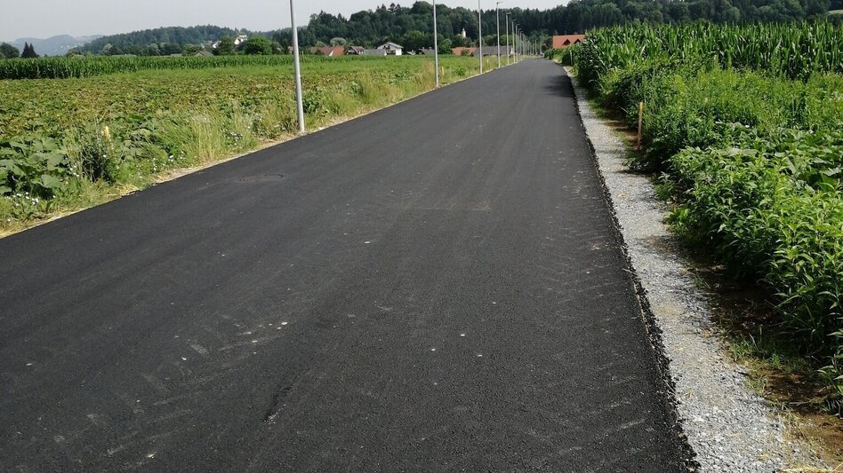 Jogging Wald Lauf - Touren-Impression #2.4 | © Schilcherland Steiermark