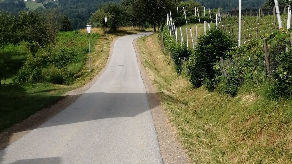 Jogging Abend Lauf - Touren-Impression #2.1 | © Schilcherland Steiermark