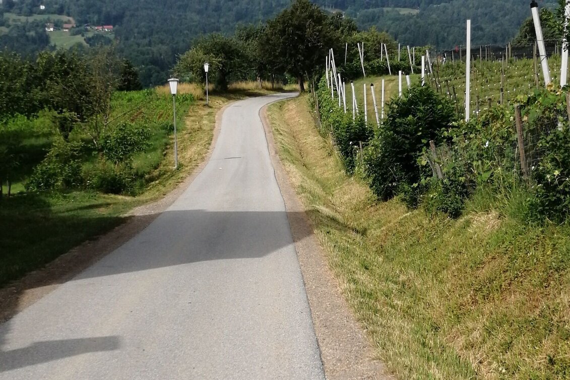 Jogging Abend Lauf - Touren-Impression #1 | © Schilcherland Steiermark