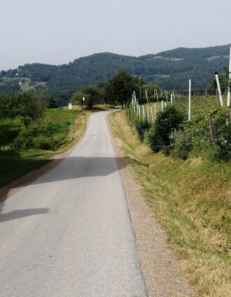 Hochfeldwegstraße | Schilcherland Steiermark | © Schilcherland Steiermark