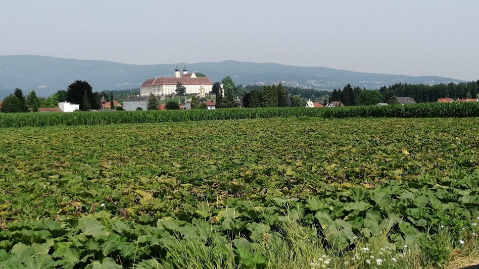 Jogging Abend Lauf - Touren-Impression #2.5 | © Schilcherland Steiermark