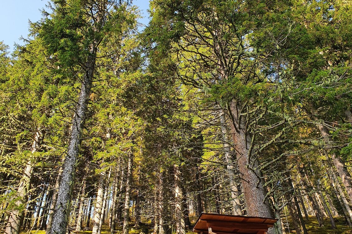 Wanderung Maierangerkogel - Touren-Impression #1 | © Erlebnisregion Murtal