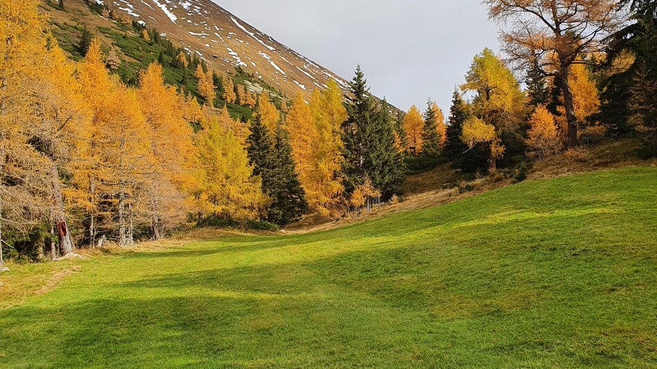 Wanderung Maierangerkogel - Touren-Impression #2.5 | © Erlebnisregion Murtal