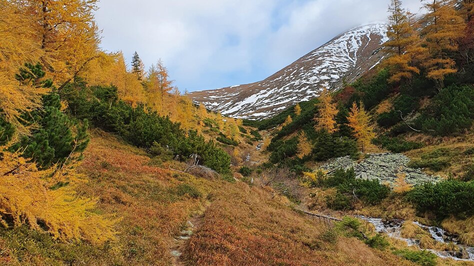 Wanderung Maierangerkogel - Touren-Impression #2.6 | © Erlebnisregion Murtal