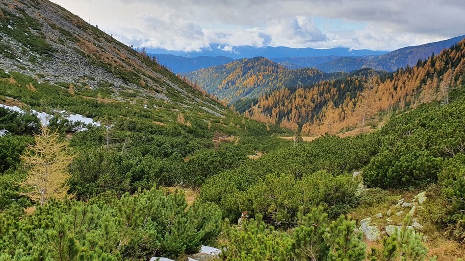 Wanderung Maierangerkogel - Touren-Impression #2.7 | © Erlebnisregion Murtal