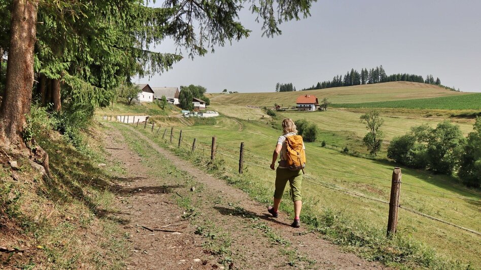 Wanderung Styrian Iron Trail - 1. Etappe St.Michael - Ulrichskirche / Seiz - Touren-Impression #2.9 | © Weges OG