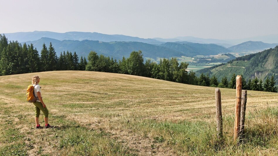 Wanderung Styrian Iron Trail - 1. Etappe St.Michael - Ulrichskirche / Seiz - Touren-Impression #2.10 | © Weges OG