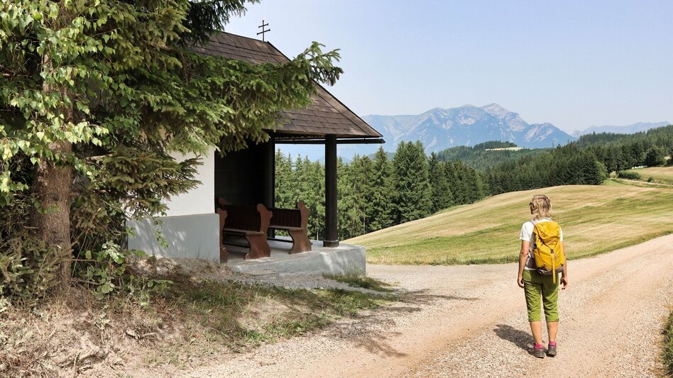 Wanderung Styrian Iron Trail - 1. Etappe St.Michael - Ulrichskirche / Seiz - Touren-Impression #2.12 | © Weges OG