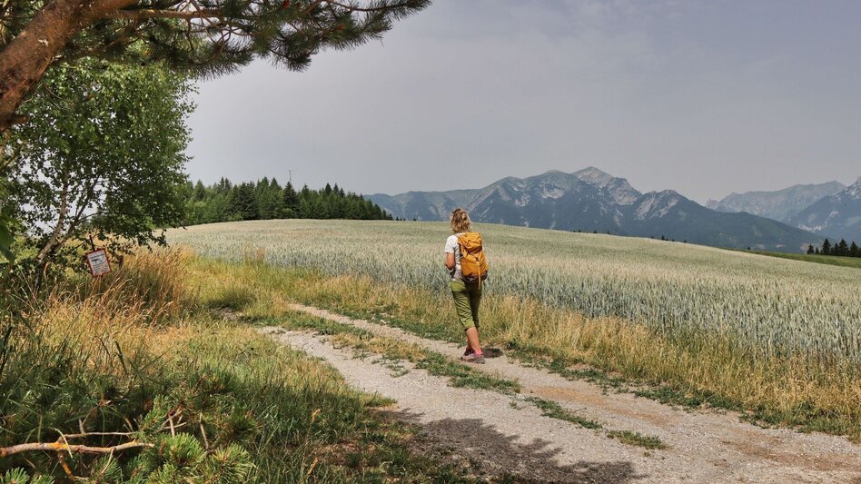 Wanderung Styrian Iron Trail - 1. Etappe St.Michael - Ulrichskirche / Seiz - Touren-Impression #2.13 | © Weges OG