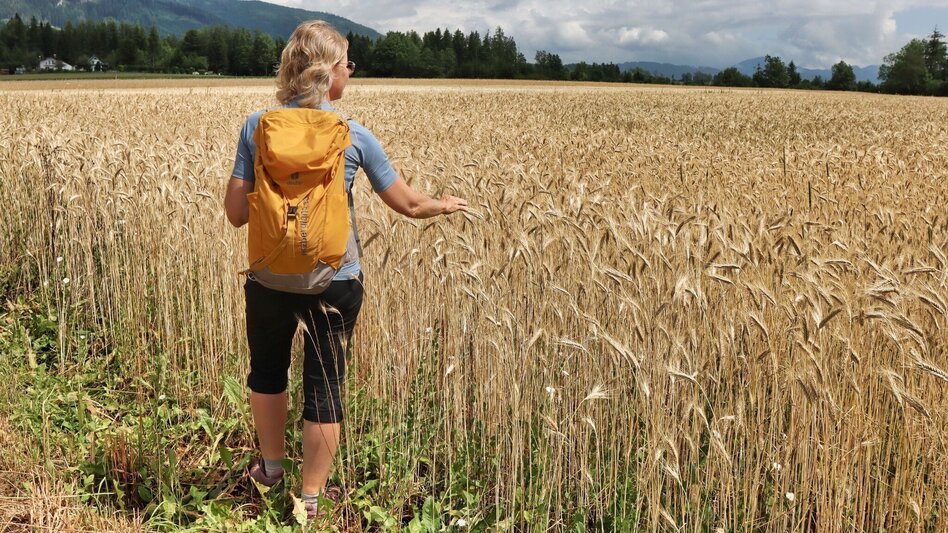 Hiking route Styrian Iron Trail - 2. Etappe Ulrichskirche / Seiz - Mautern - Touren-Impression #2.3 | © Weges OG
