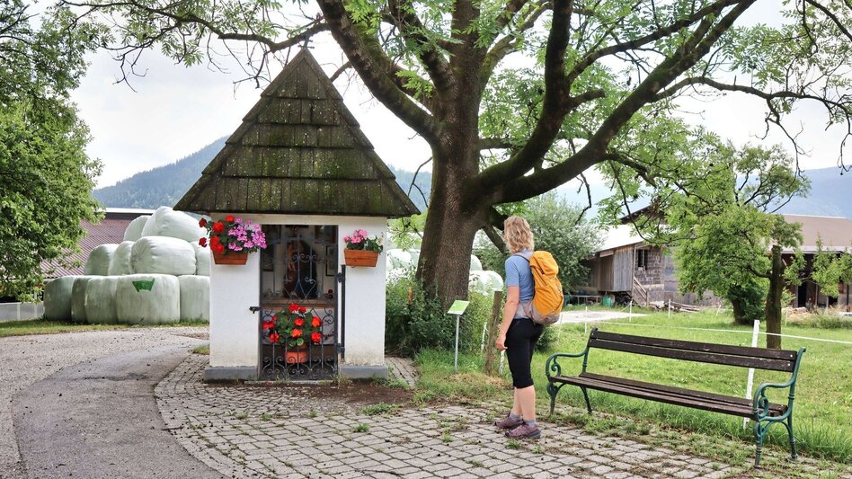 Hiking route Styrian Iron Trail - 2. Etappe Ulrichskirche / Seiz - Mautern - Touren-Impression #2.7 | © Weges OG