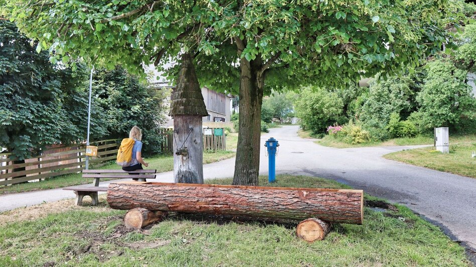 Hiking route Styrian Iron Trail - 2. Etappe Ulrichskirche / Seiz - Mautern - Touren-Impression #2.8 | © Weges OG