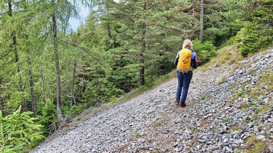 Hiking route Styrian Iron Trail - 2. Etappe Ulrichskirche / Seiz - Mautern - Touren-Impression #2.19 | © Weges OG