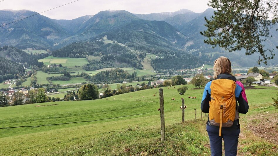 Hiking route Styrian Iron Trail - 2. Etappe Ulrichskirche / Seiz - Mautern - Touren-Impression #2.21 | © Weges OG