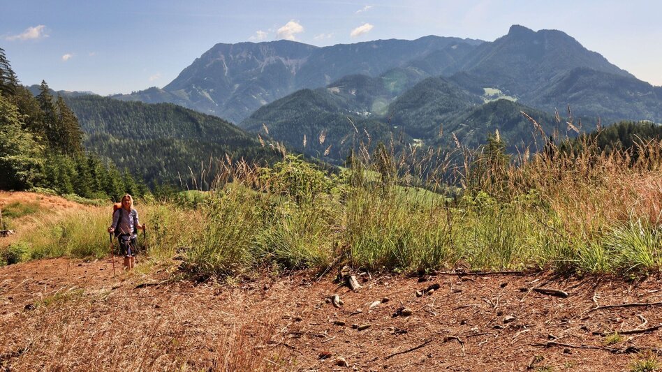 Wanderung Styrian Iron Trail - 3. Etappe Mautern - Wald am Schoberpaß - Touren-Impression #2.4 | © Weges OG