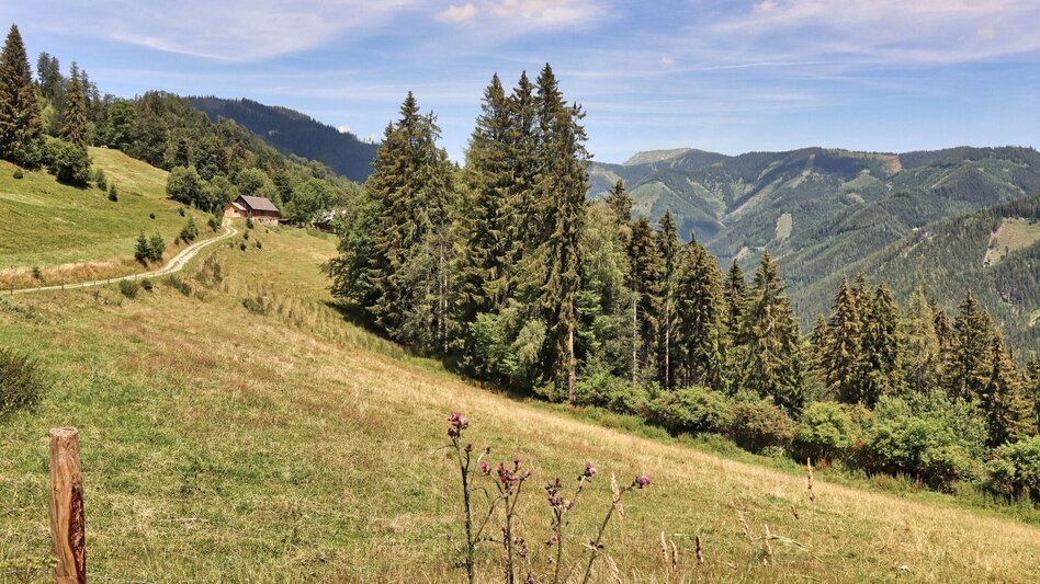 Wanderung Styrian Iron Trail - 3. Etappe Mautern - Wald am Schoberpaß - Touren-Impression #2.11 | © Weges OG
