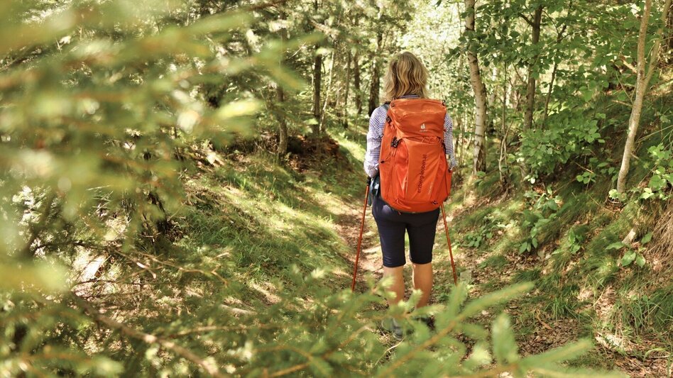 Wanderung Styrian Iron Trail - 3. Etappe Mautern - Wald am Schoberpaß - Touren-Impression #2.15 | © Weges OG