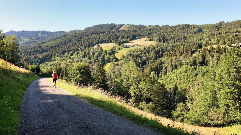Wanderung Styrian Iron Trail - 3. Etappe Mautern - Wald am Schoberpaß - Touren-Impression #2.18 | © Weges OG