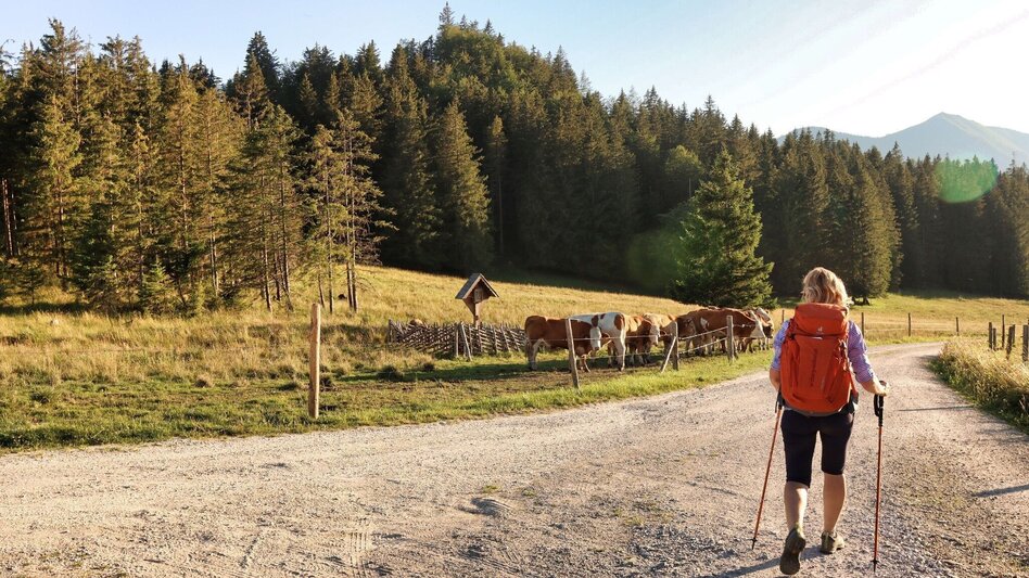 Wanderung Styrian Iron Trail - 3. Etappe Mautern - Wald am Schoberpaß - Touren-Impression #2.22 | © Weges OG