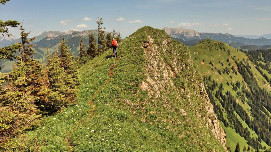 Wanderung Styrian Iron Trail - 4. Etappe Wald am Schoberpaß - Radmer an der Stube - Touren-Impression #2.13 | © Weges OG