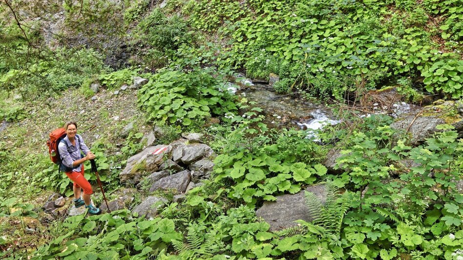 Wanderung Styrian Iron Trail - 5. Etappe Radmer an der Stube - Eisenerz - Touren-Impression #2.4 | © Weges OG