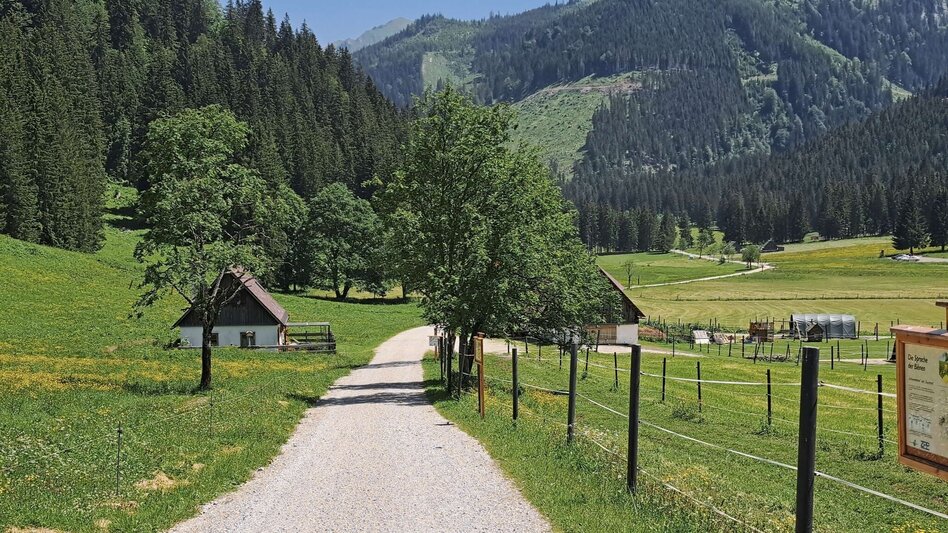 Wanderung Styrian Iron Trail - 5. Etappe Radmer an der Stube - Eisenerz - Touren-Impression #2.11 | © Weges OG