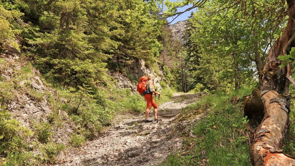 Wanderung Styrian Iron Trail - 6. Etappe Eisenerz - Sonnschienalm - Touren-Impression #2.6 | © Weges OG