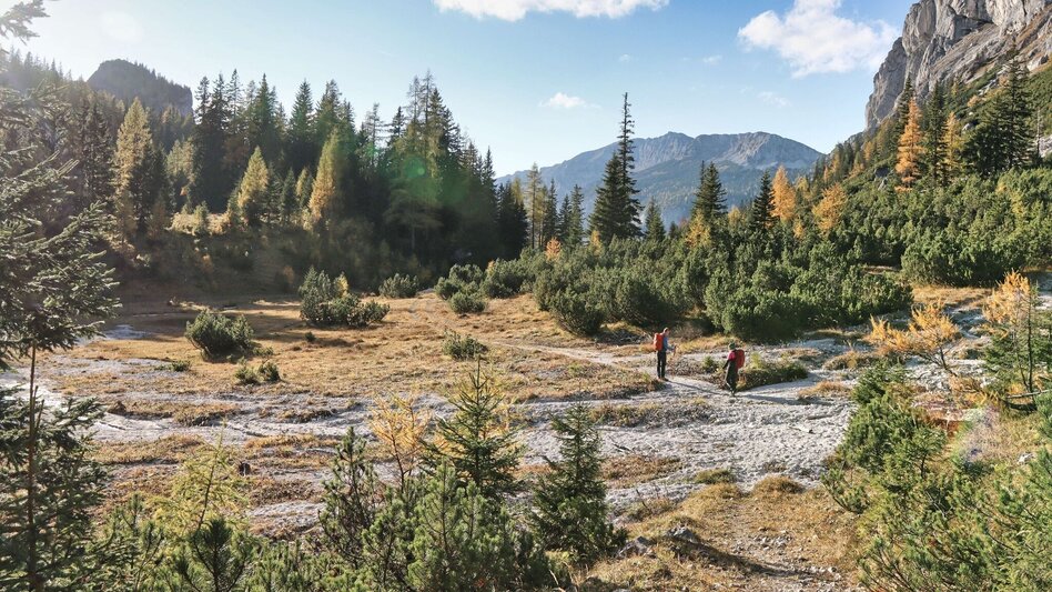 Wanderung Styrian Iron Trail - 6. Etappe Eisenerz - Sonnschienalm - Touren-Impression #2.8 | © Weges OG