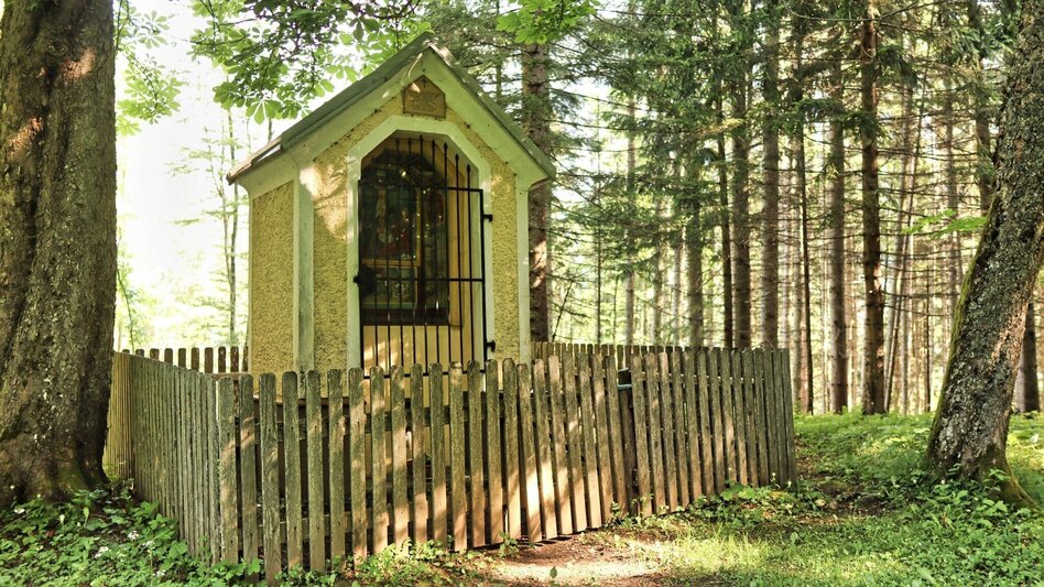 Wanderung Styrian Iron Trail - 6. Etappe Eisenerz - Sonnschienalm - Touren-Impression #2.3 | © Weges OG