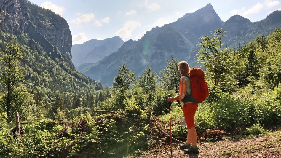 Wanderung Styrian Iron Trail - 6. Etappe Eisenerz - Sonnschienalm - Touren-Impression #2.9 | © Weges OG
