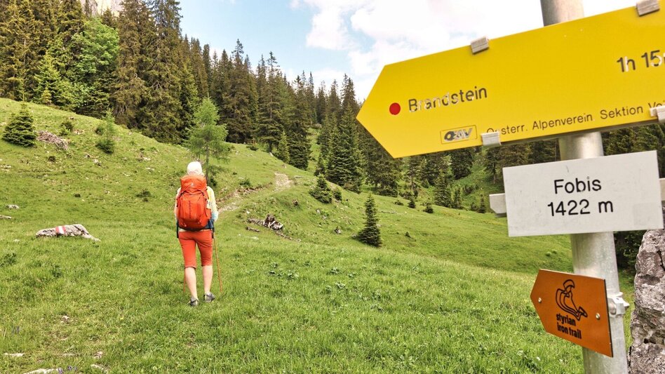 Wanderung Styrian Iron Trail - 6. Etappe Eisenerz - Sonnschienalm - Touren-Impression #2.10 | © Weges OG