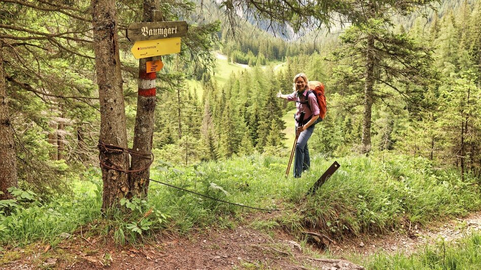 Wanderung Styrian Iron Trail - 7. Etappe Sonnschienalm - Vordernberg - Touren-Impression #2.4 | © Weges OG