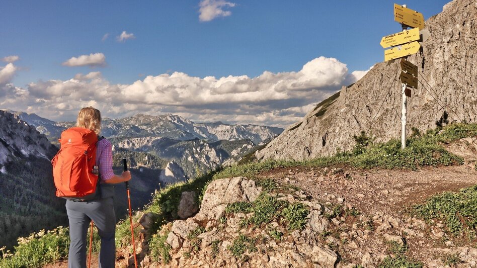 Wanderung Styrian Iron Trail - 7. Etappe Sonnschienalm - Vordernberg - Touren-Impression #2.13 | © Weges OG