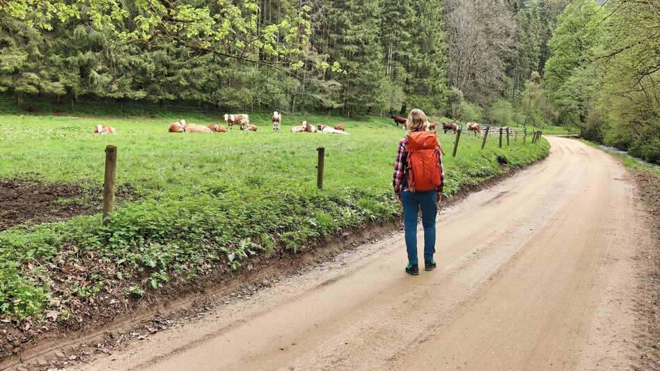 Wanderung Styrian Iron Trail - 8. Etappe Vordernberg - St. Peter-Freienstein - Touren-Impression #2.8 | © Weges OG