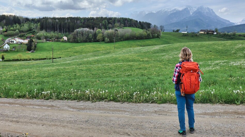 Wanderung Styrian Iron Trail - 8. Etappe Vordernberg - St. Peter-Freienstein - Touren-Impression #2.17 | © Weges OG