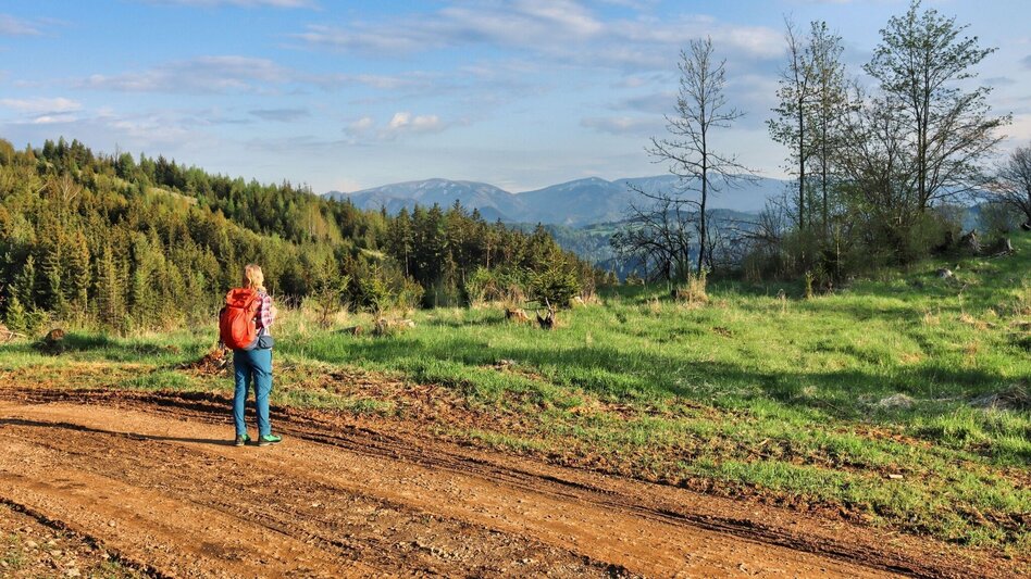 Wanderung Styrian Iron Trail - 8. Etappe Vordernberg - St. Peter-Freienstein - Touren-Impression #2.20 | © Weges OG